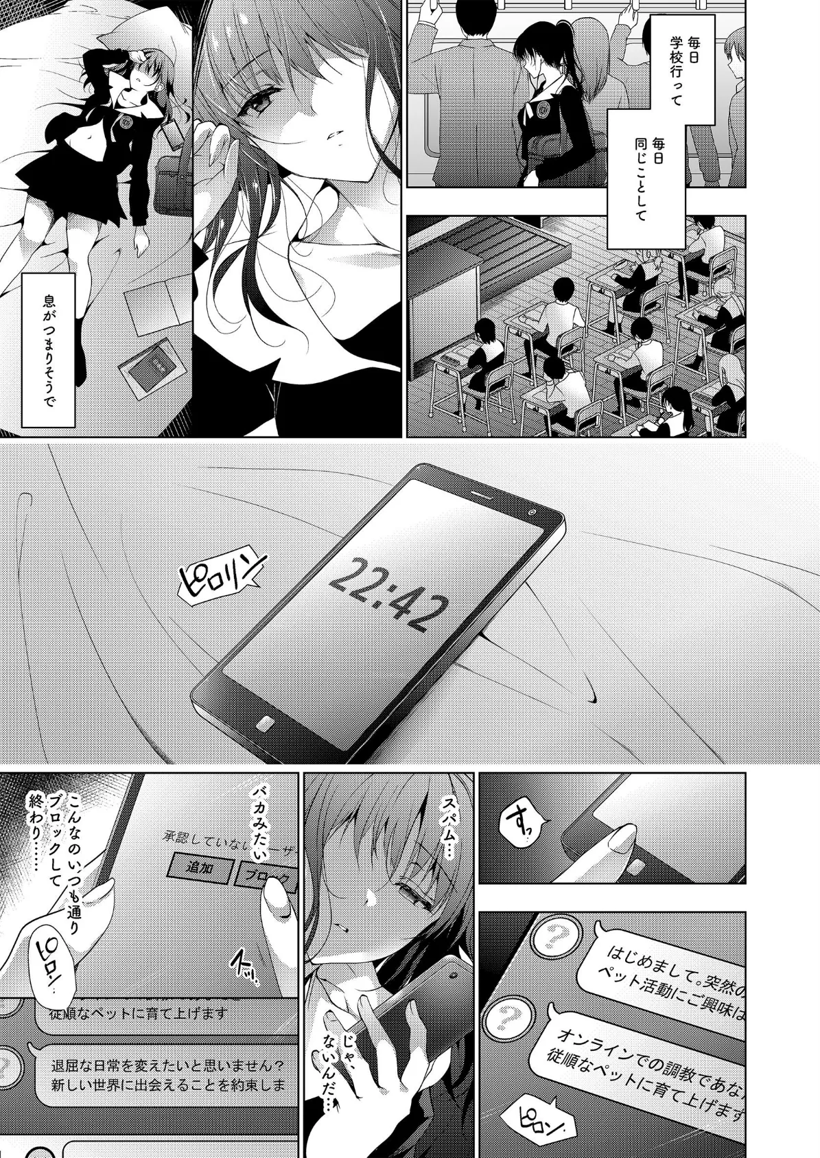 画面越しのパラフィリア【白抜き修正版】 5ページ