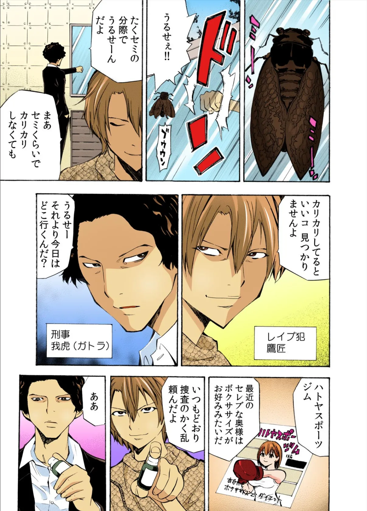 美少女監獄図鑑〜外道アニキの妹調教!悶絶ぶっこみコレクション〜【フルカラー】【完全版】 3ページ