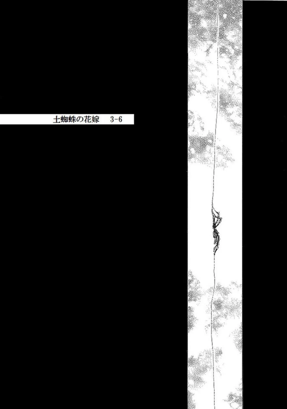 土蜘蛛の花嫁 第三章 3-6 2ページ