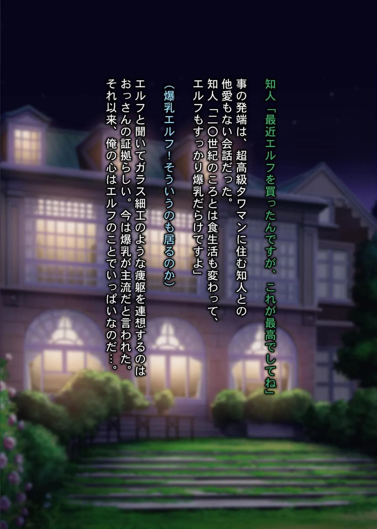 アングラネットオークション〜気高い姫騎士純潔エルフを異種姦目的で落札し無理矢理孕ませ種付セックスした結果www〜 3ページ