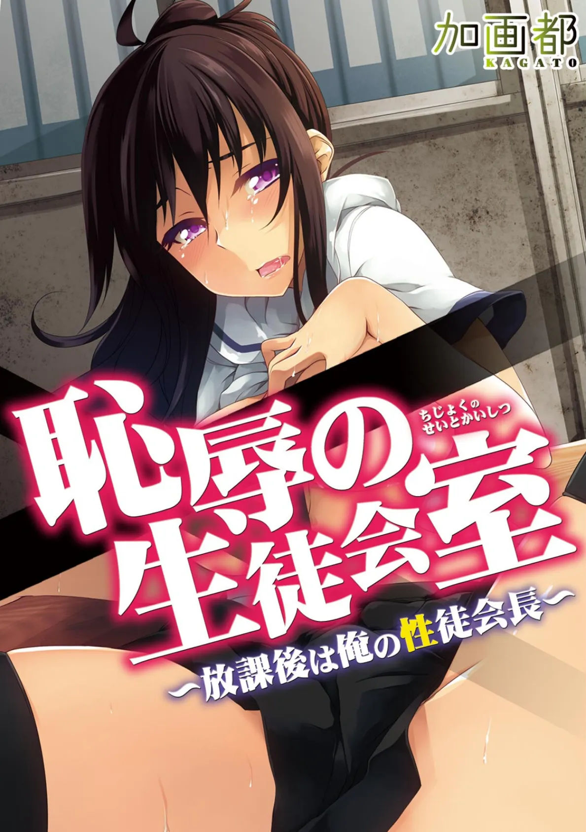 恥辱の生徒会室〜放課後は俺の性徒会長〜